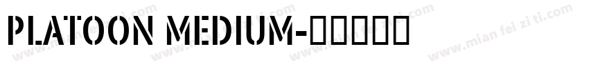 Platoon Medium字体转换